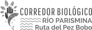 CORREDOR PARISMINA LOGO